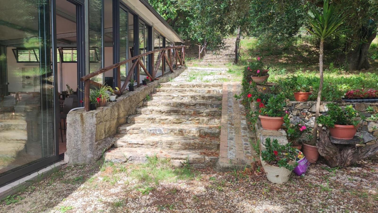 Agriturismo La Focazza Villa Ascea Bagian luar foto