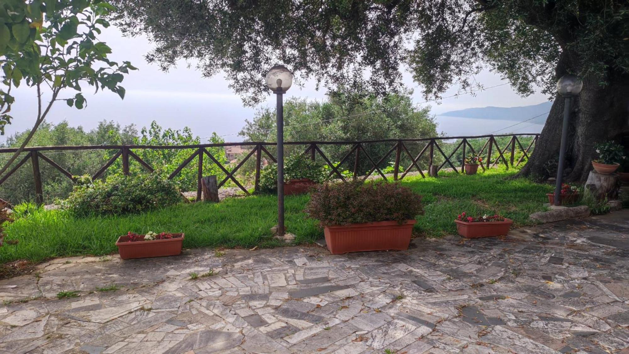 Agriturismo La Focazza Villa Ascea Bagian luar foto