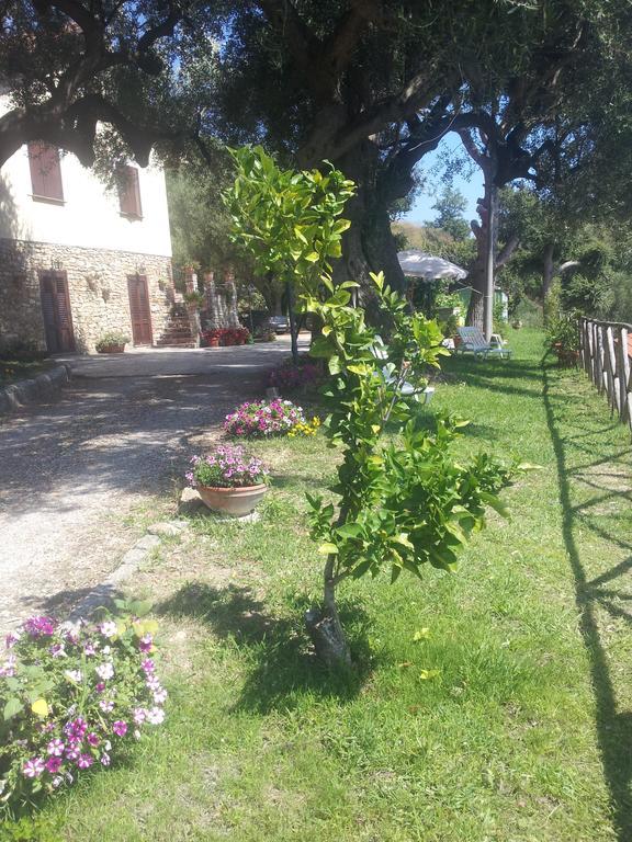 Agriturismo La Focazza Villa Ascea Bagian luar foto